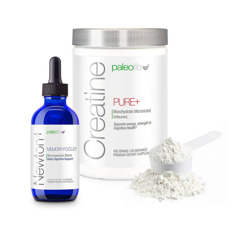 Mental Focus Nutrition by Dr. Stephane Decrock